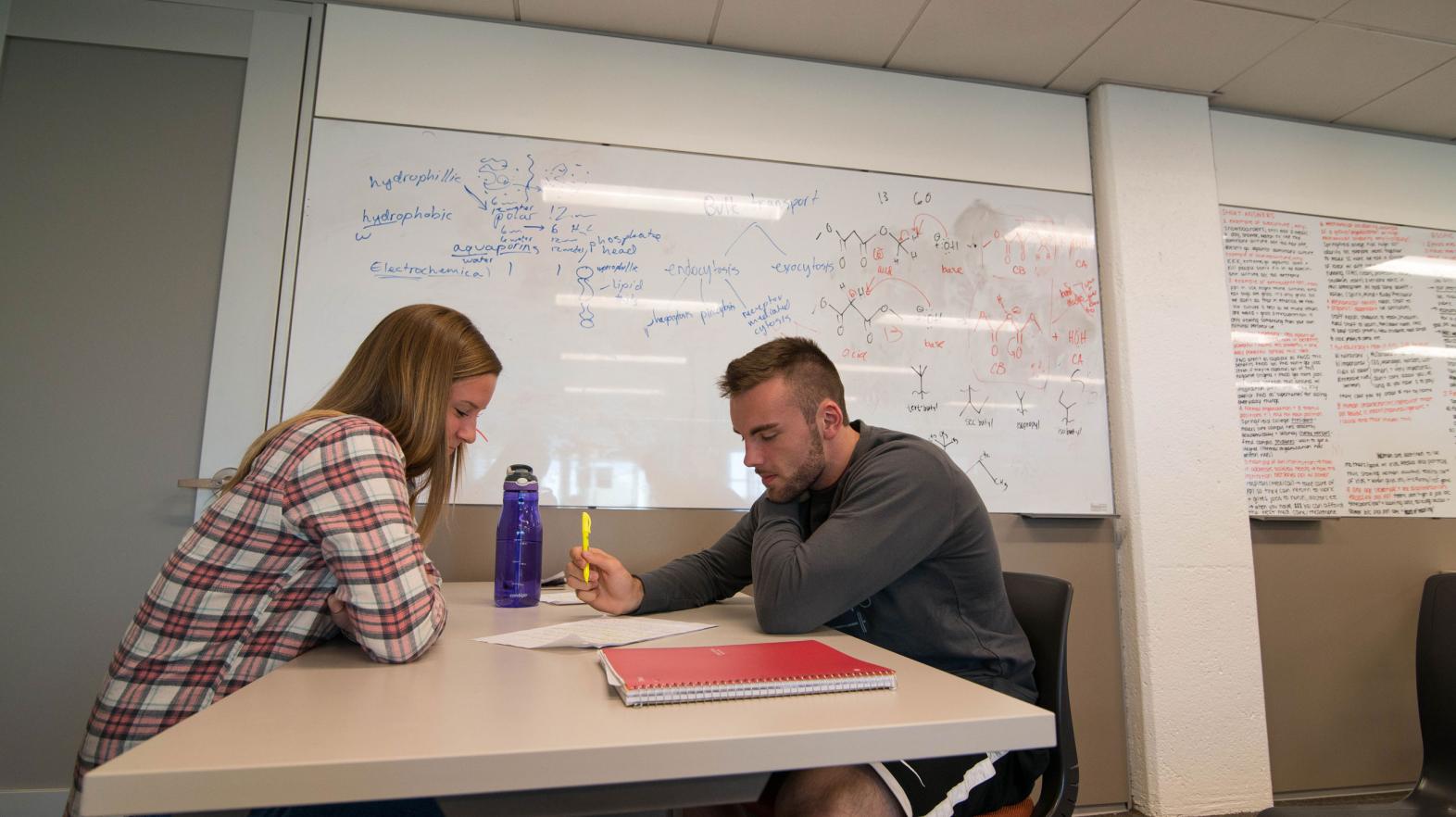 Two students study in a quiet space in the Learning Commons.