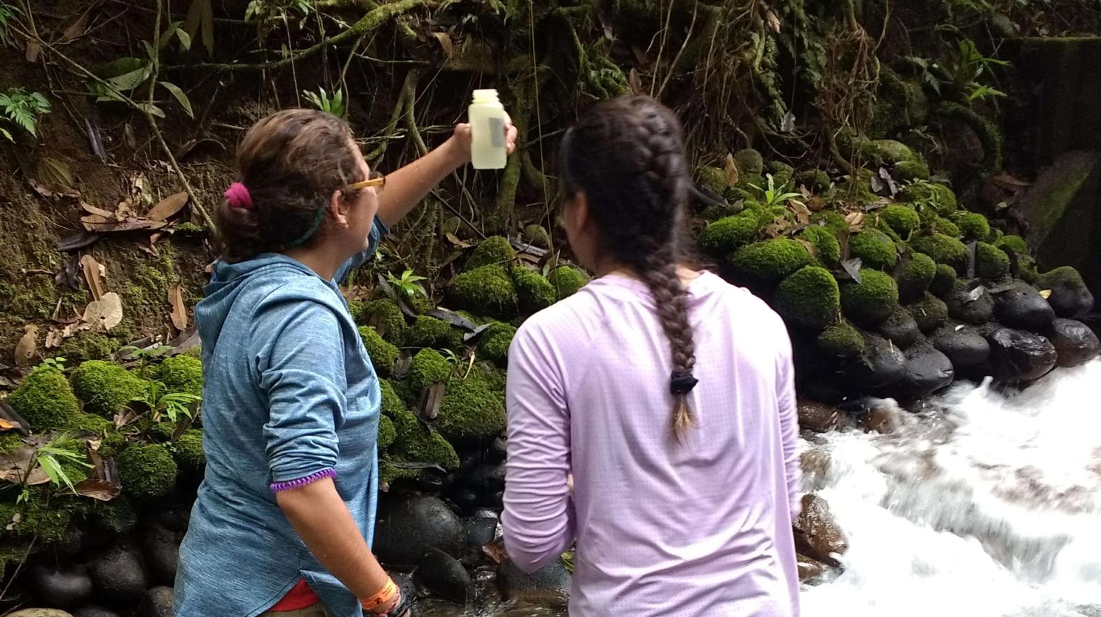 Students stand in a stream taking samples. 